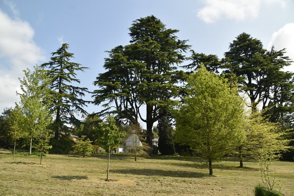 Dunorlan Park Cafe photo 3