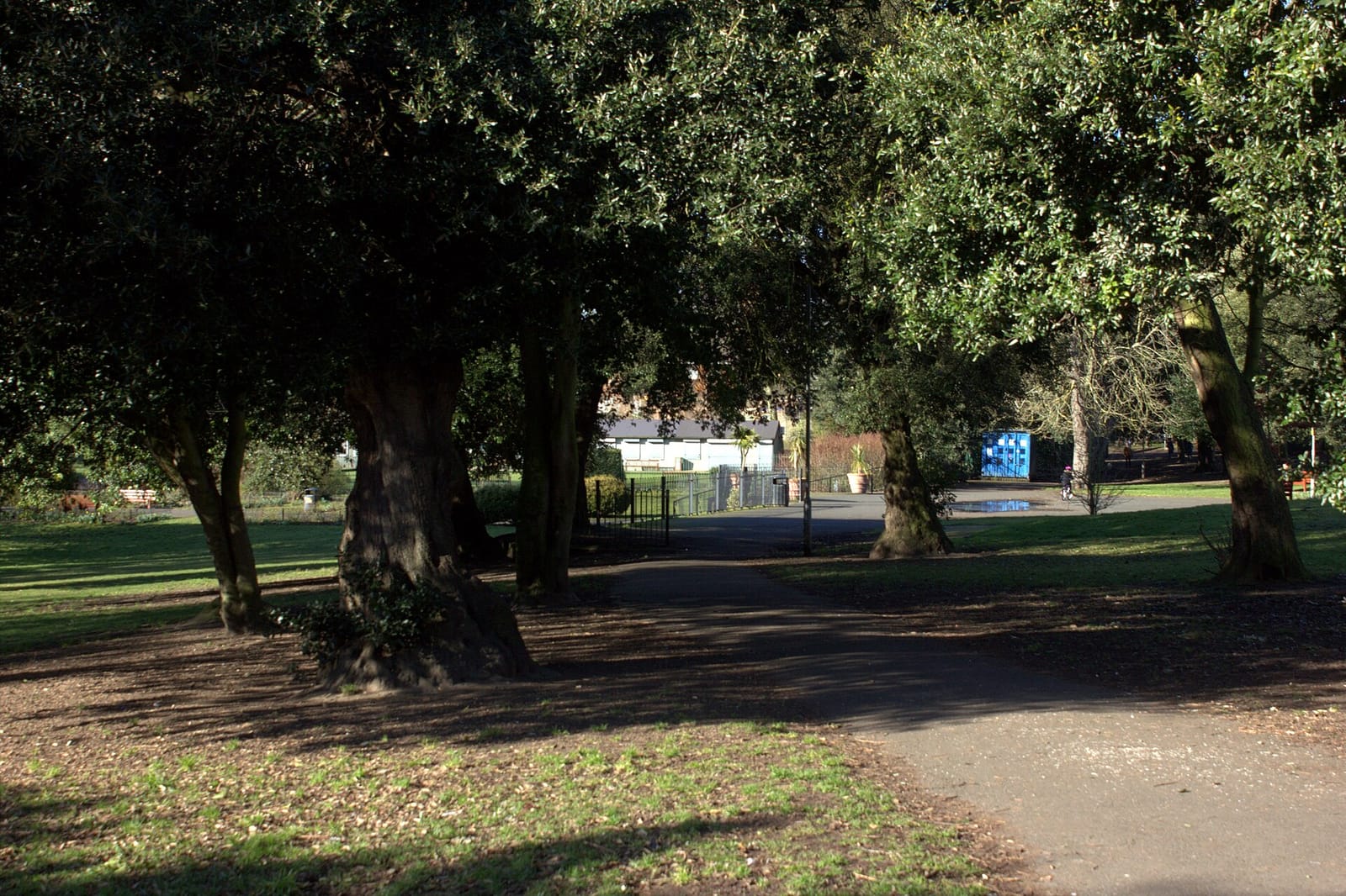 Ellington Cafe photo 3