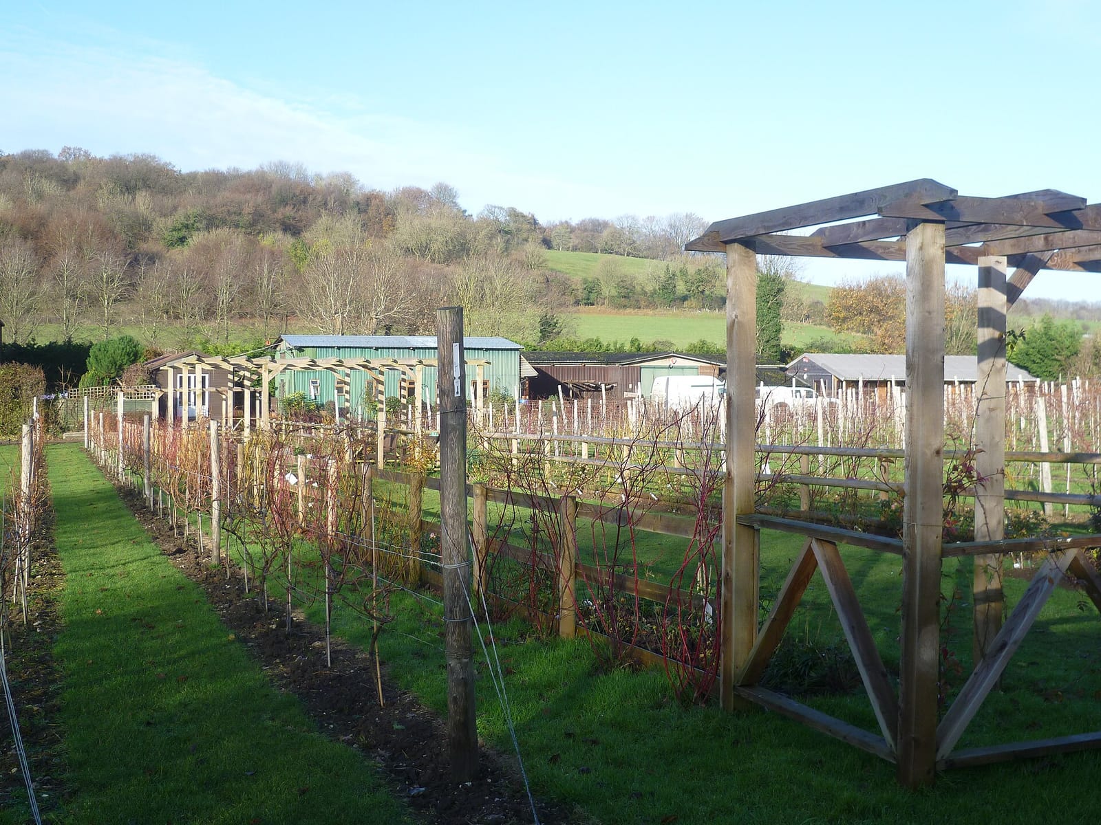 Vineyard Garden Centre Cafe