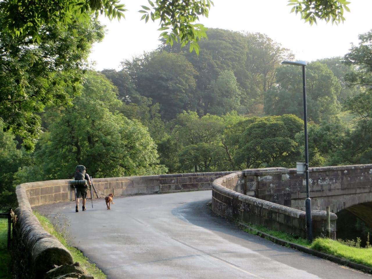 Riverbank Tearooms photo 4