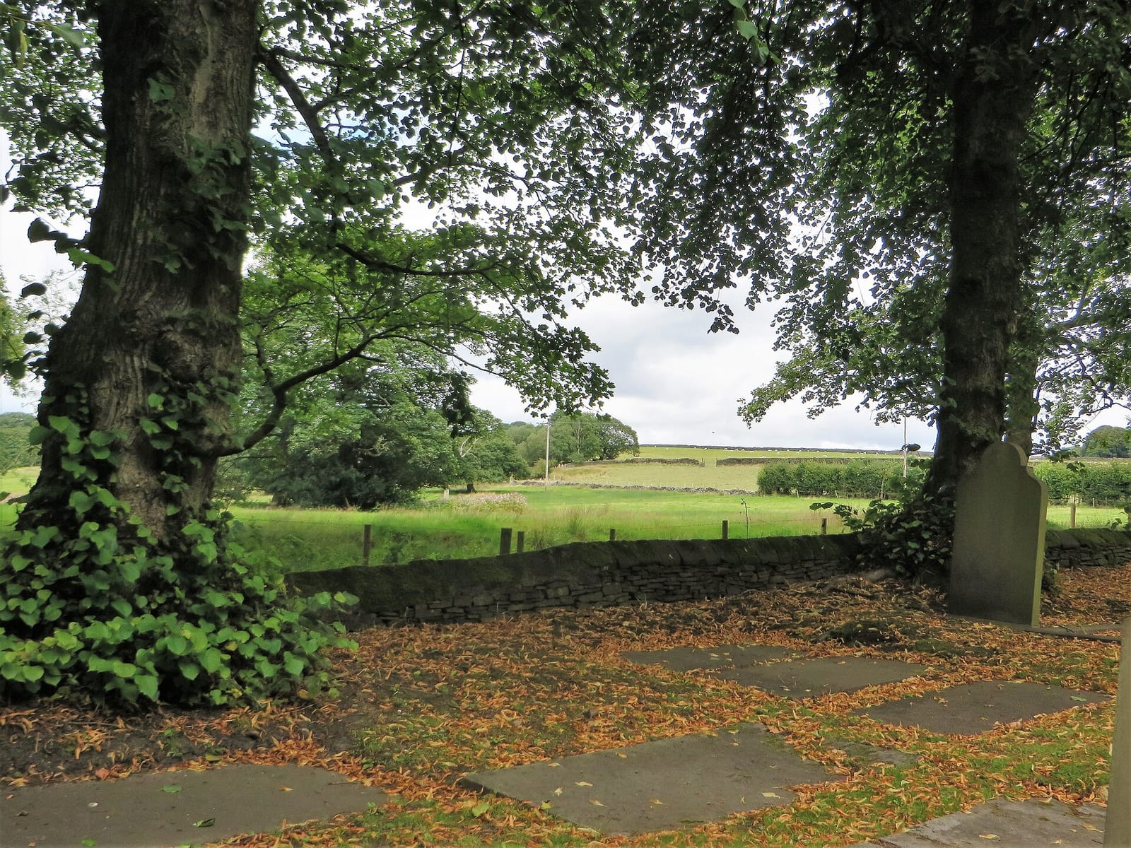 Village Green Tea Room photo 2