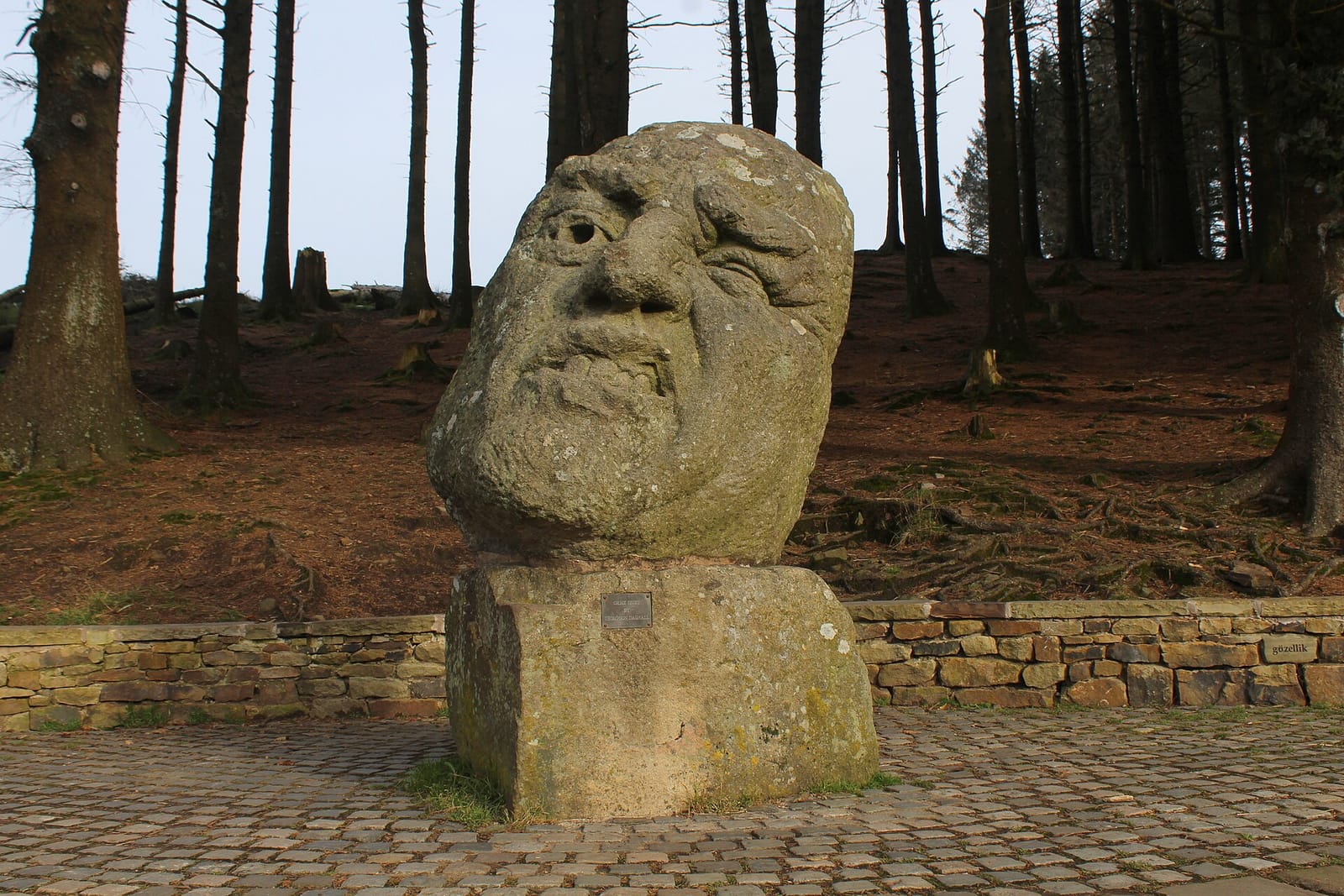 Beacon Fell Visitor Centre photo 2