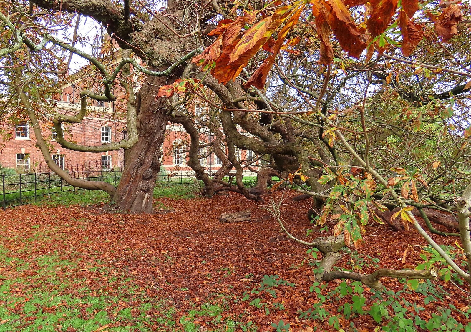 Lytham Hall Cafe photo 4