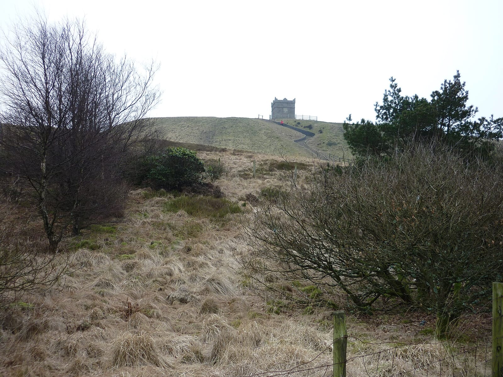 Fika Rivington photo 2