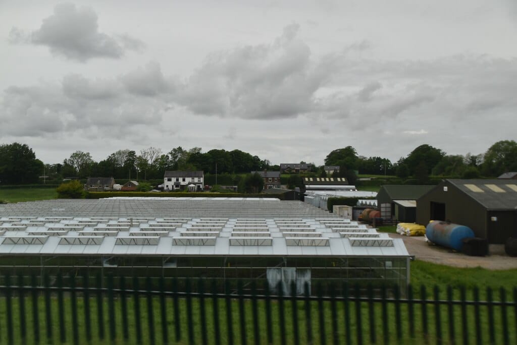 Daisy CLough Nurseries and Tearoom