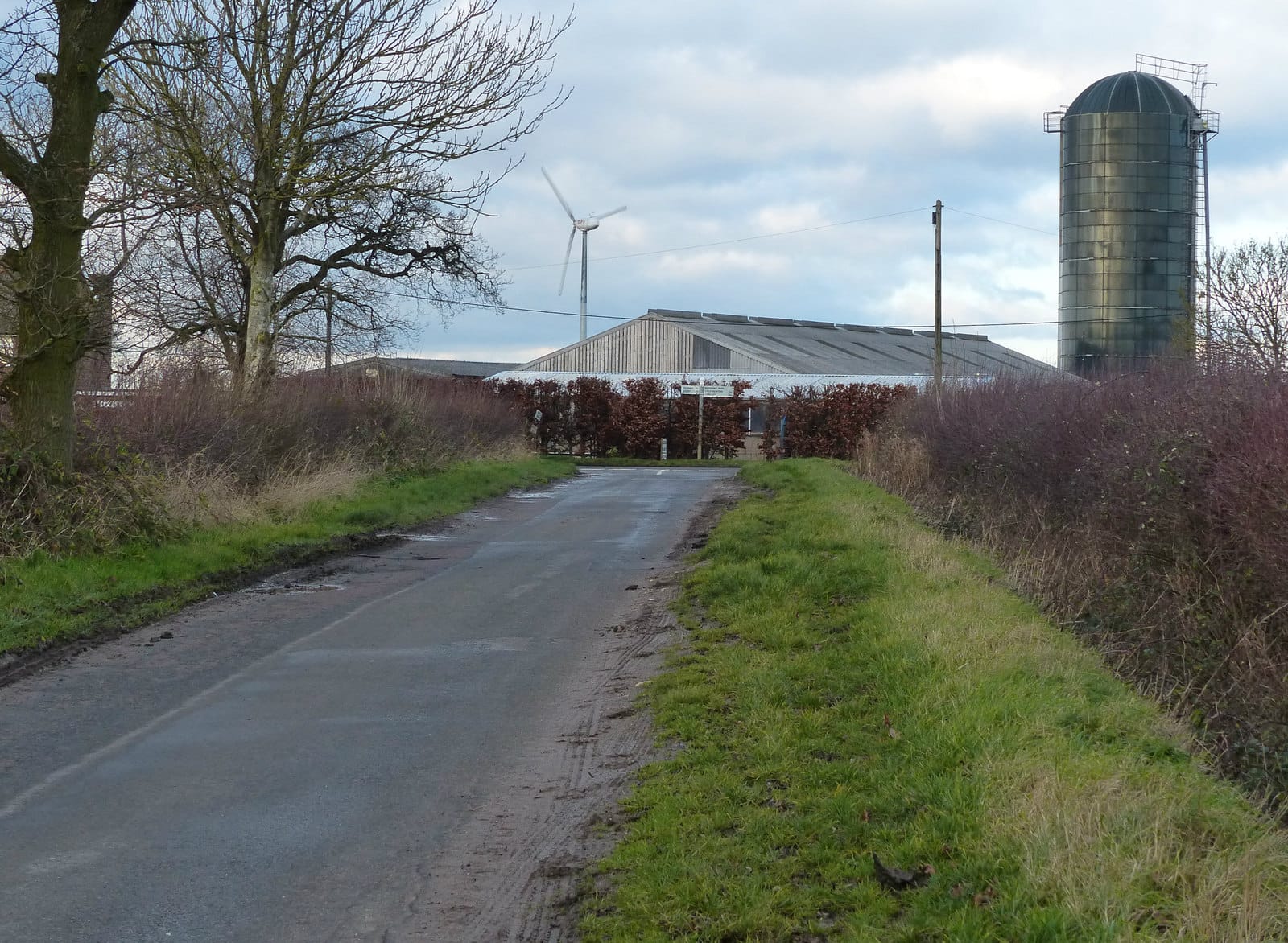 Village Farm Dairy - Milk Shed photo 2