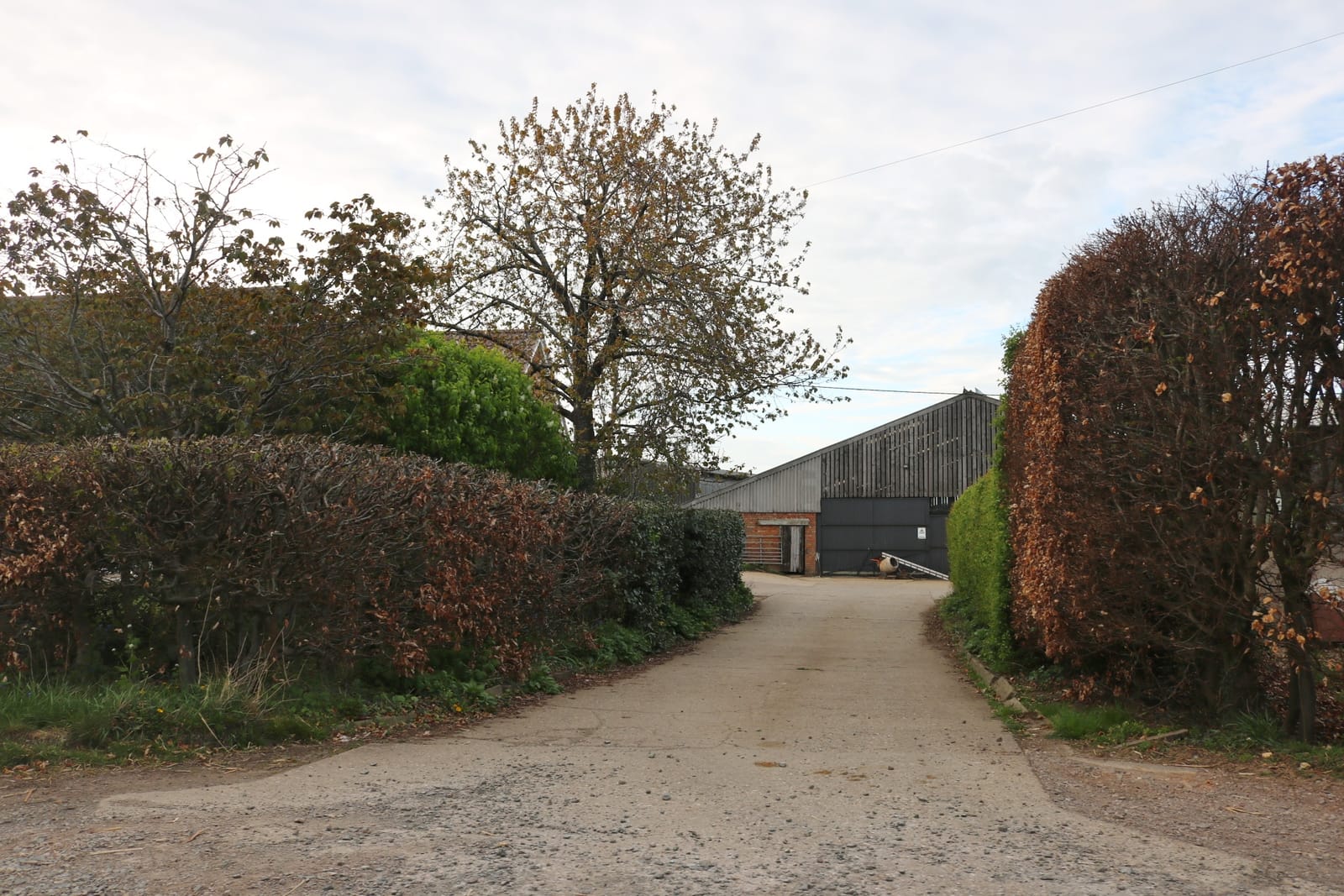 Village Farm Dairy - Milk Shed