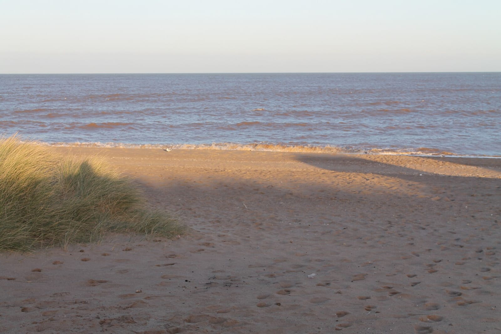 The Vista at The Boatshed