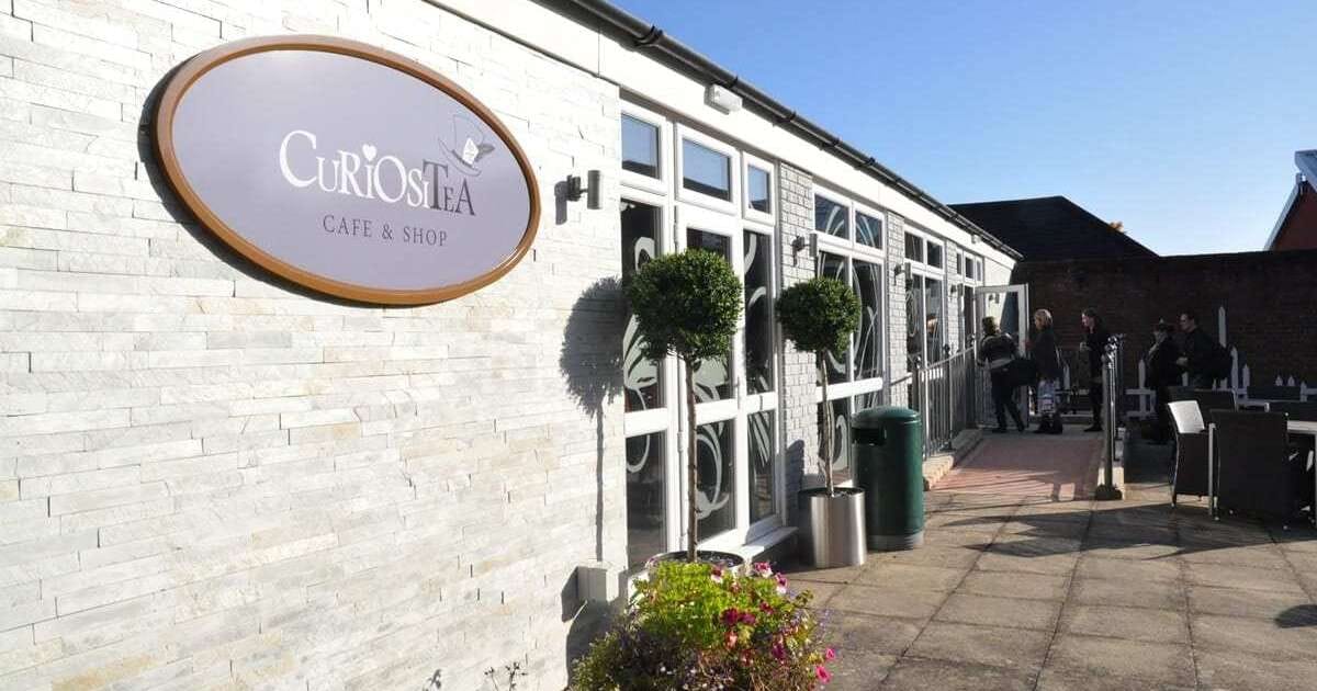 Curiositea photo 2