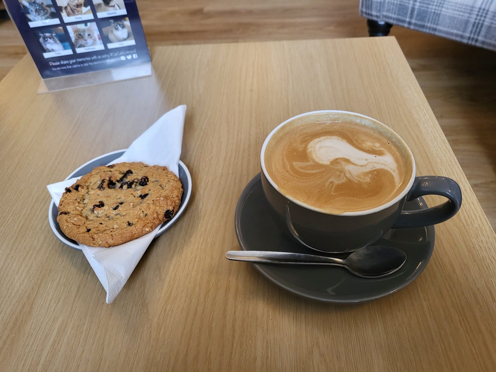 Cat Café