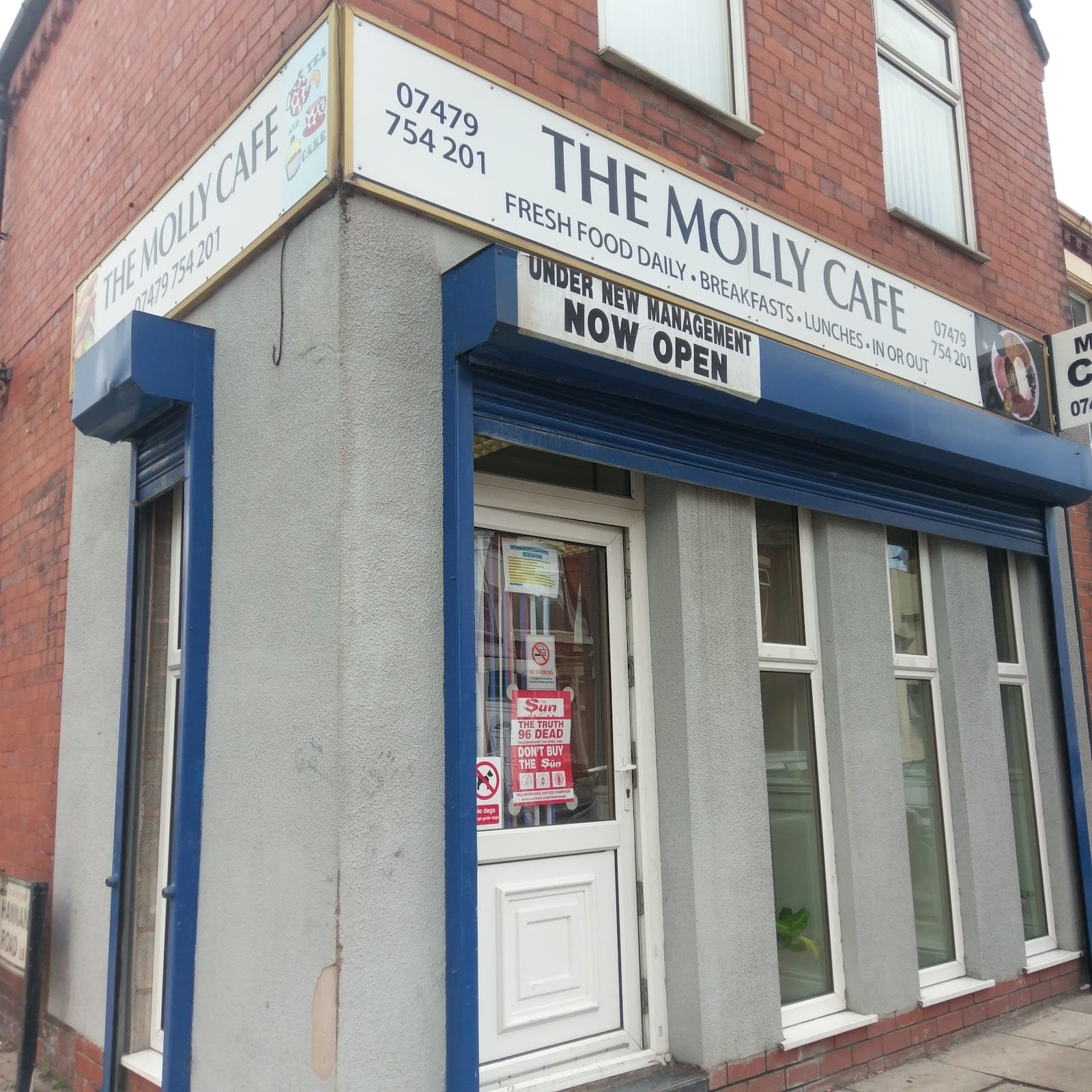 Molly Cafe