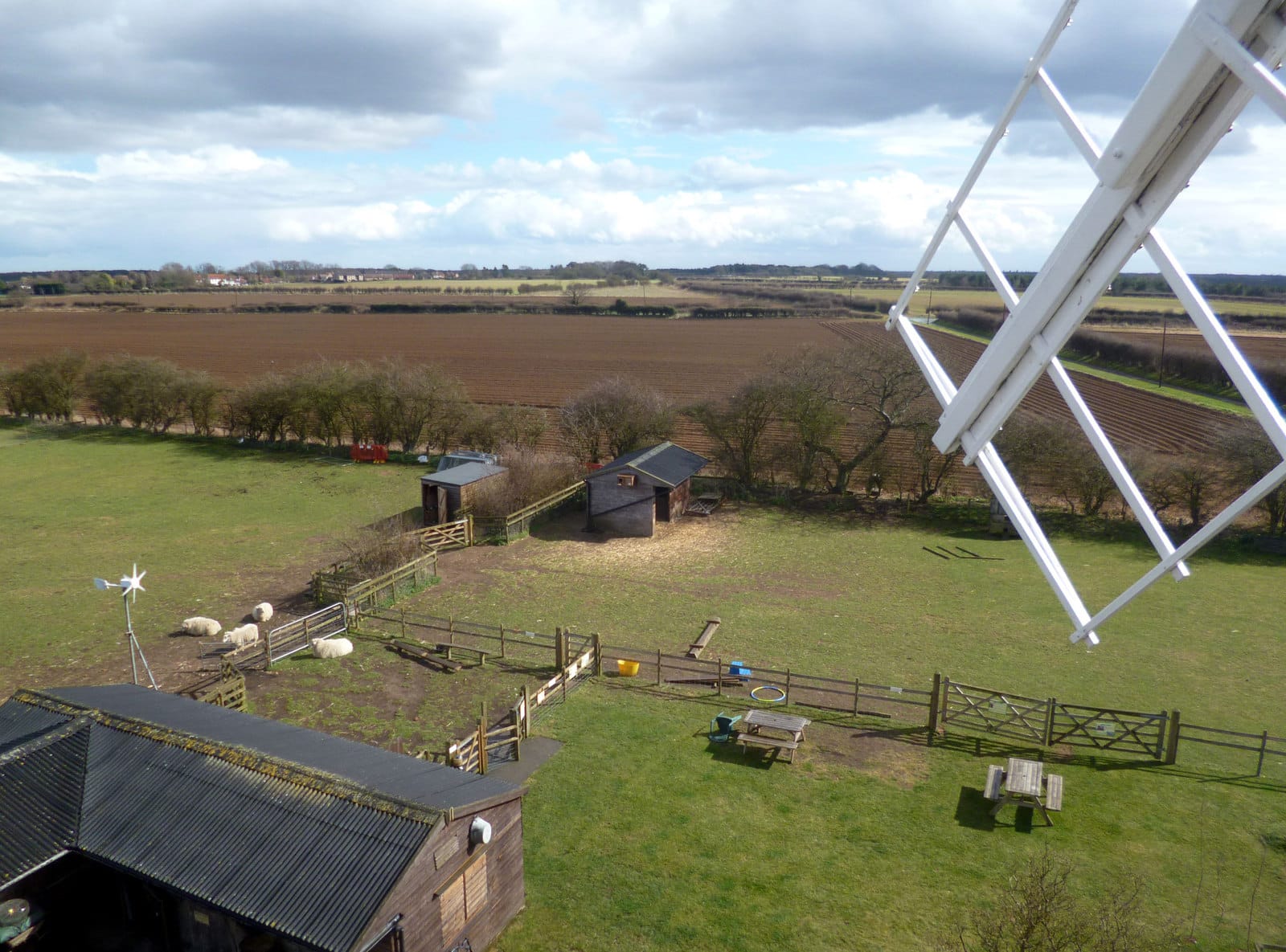 Bircham Windmill Café photo 3