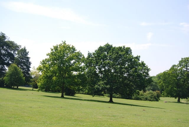 Earlham Park Café photo 3