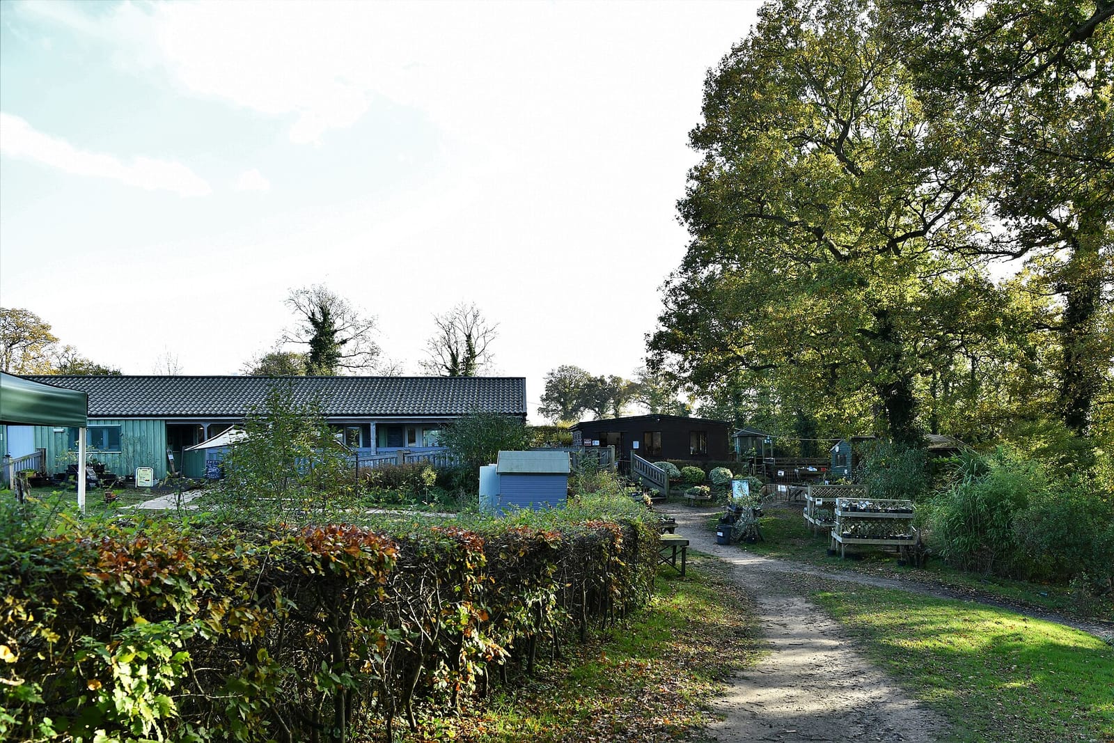 Kingfisher Tearoom