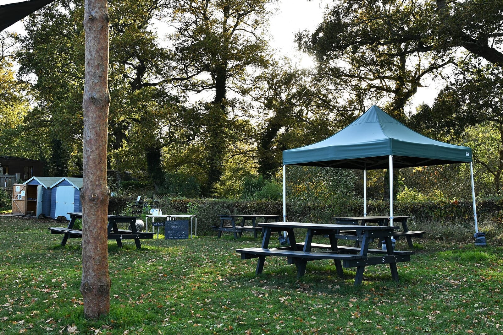 Kingfisher Tearoom photo 3