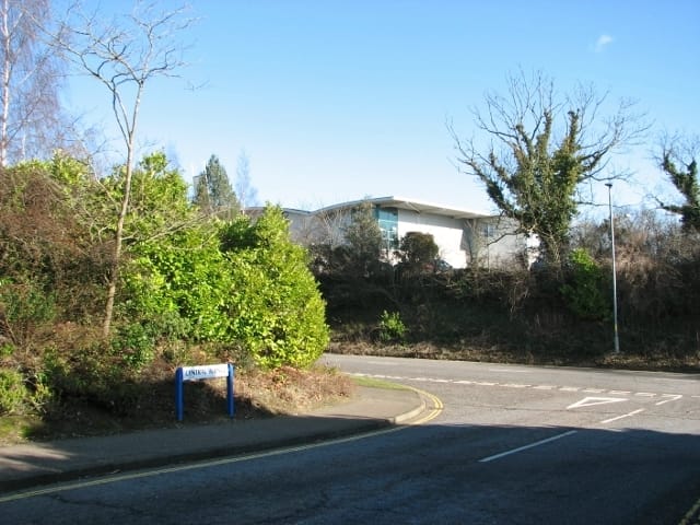 The Terrace photo 4