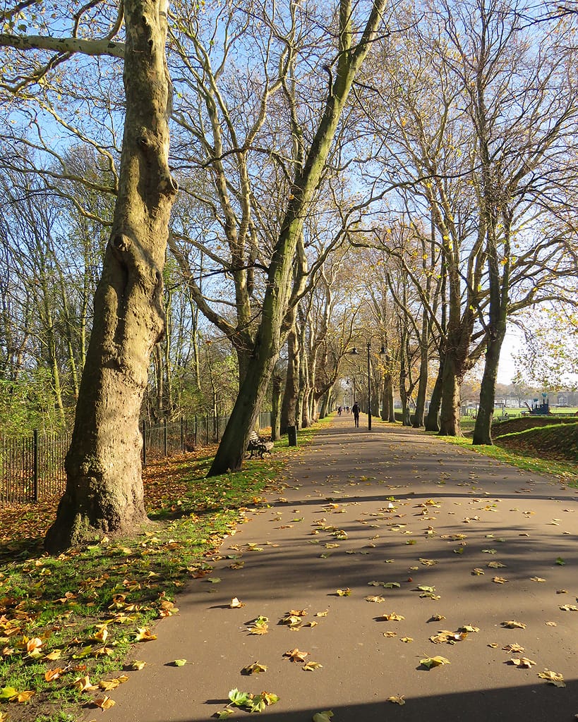 Cafe In the Park photo 2