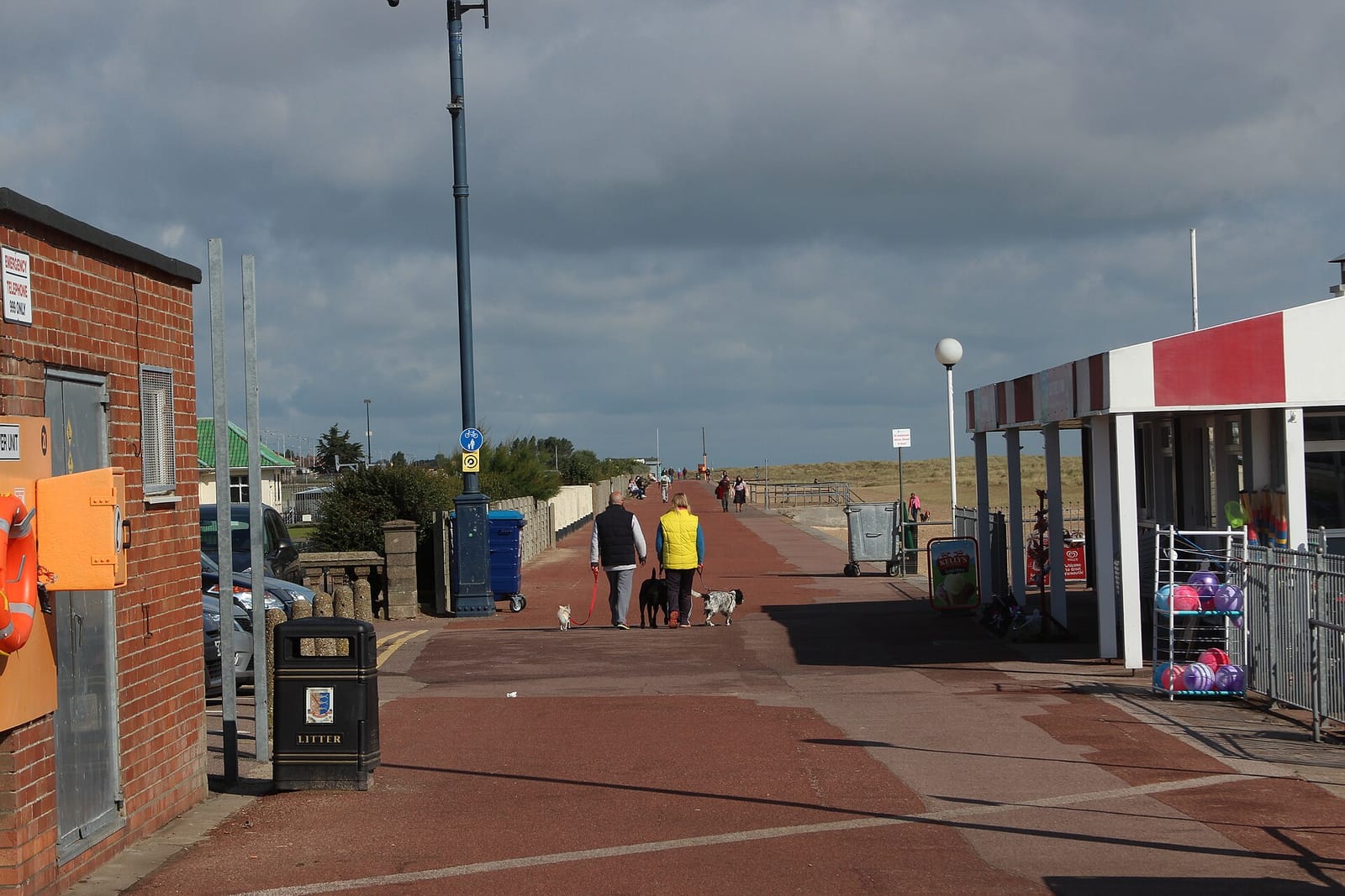 Beach Terrace Tea Rooms photo 2