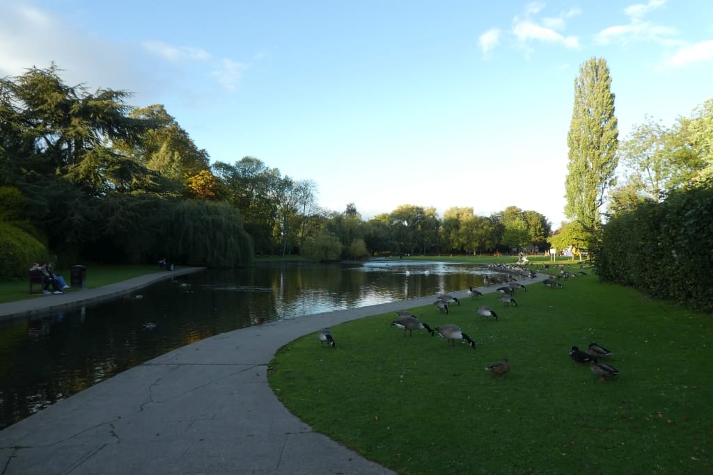 Rowntree Park Reading Café photo 6