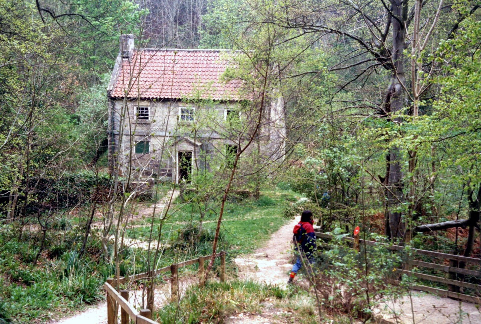 Falling Foss Tea Gardens photo 4