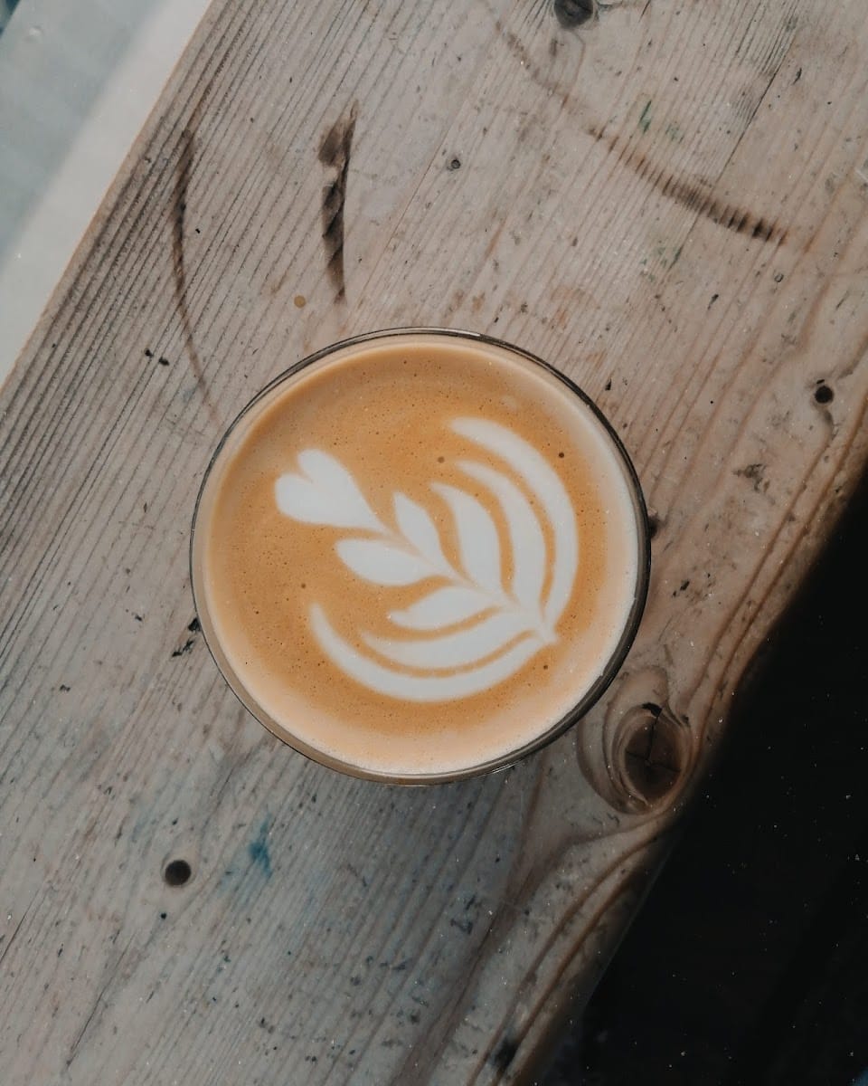 Bison Coffee House photo 7