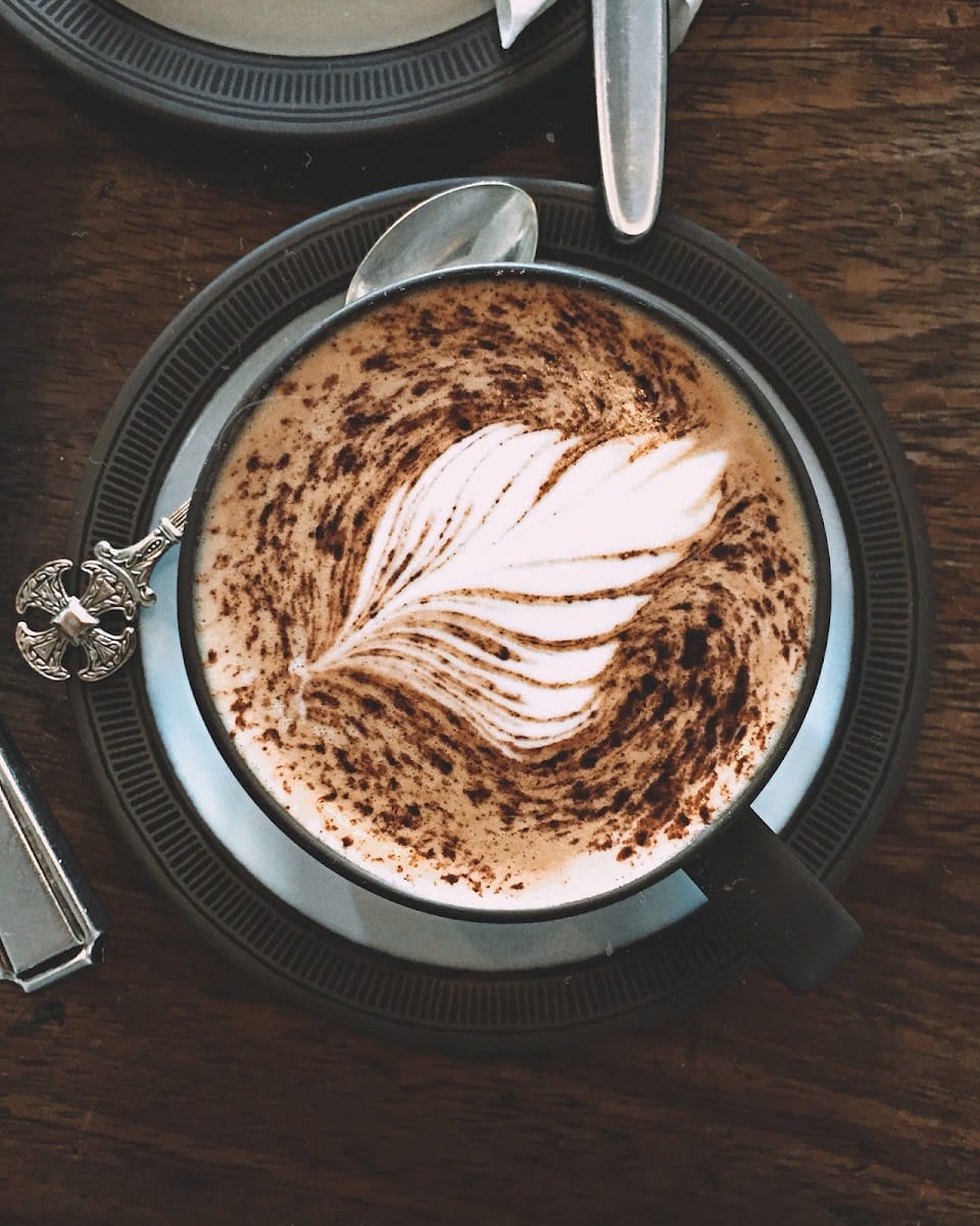 Bison Coffee House photo 4