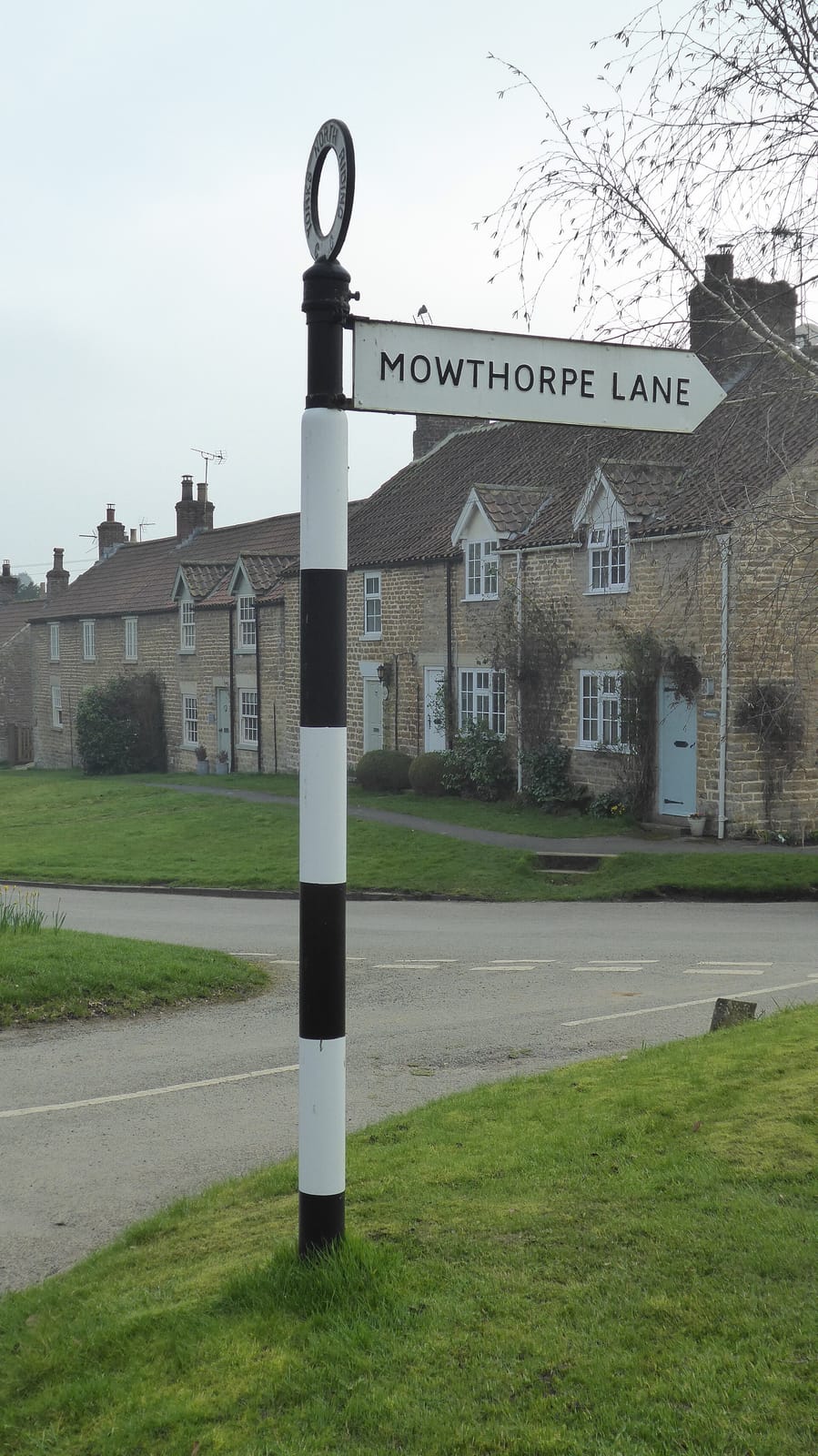 Terrington Village Stores & Tearooms photo 3