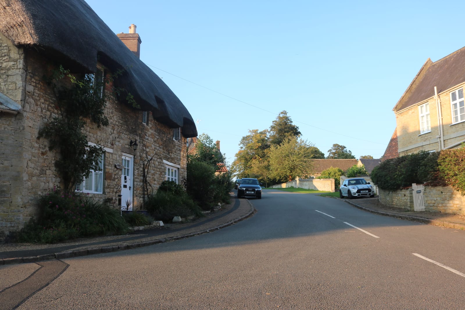 Lavender Bee Tearoom photo 3