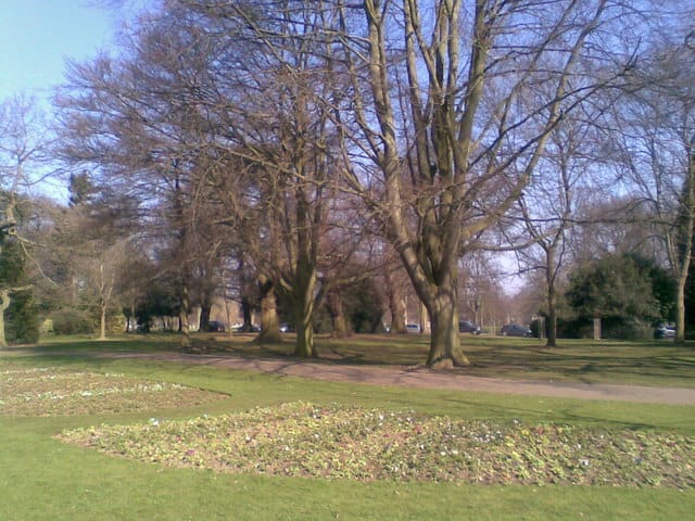 The Park Café photo 4