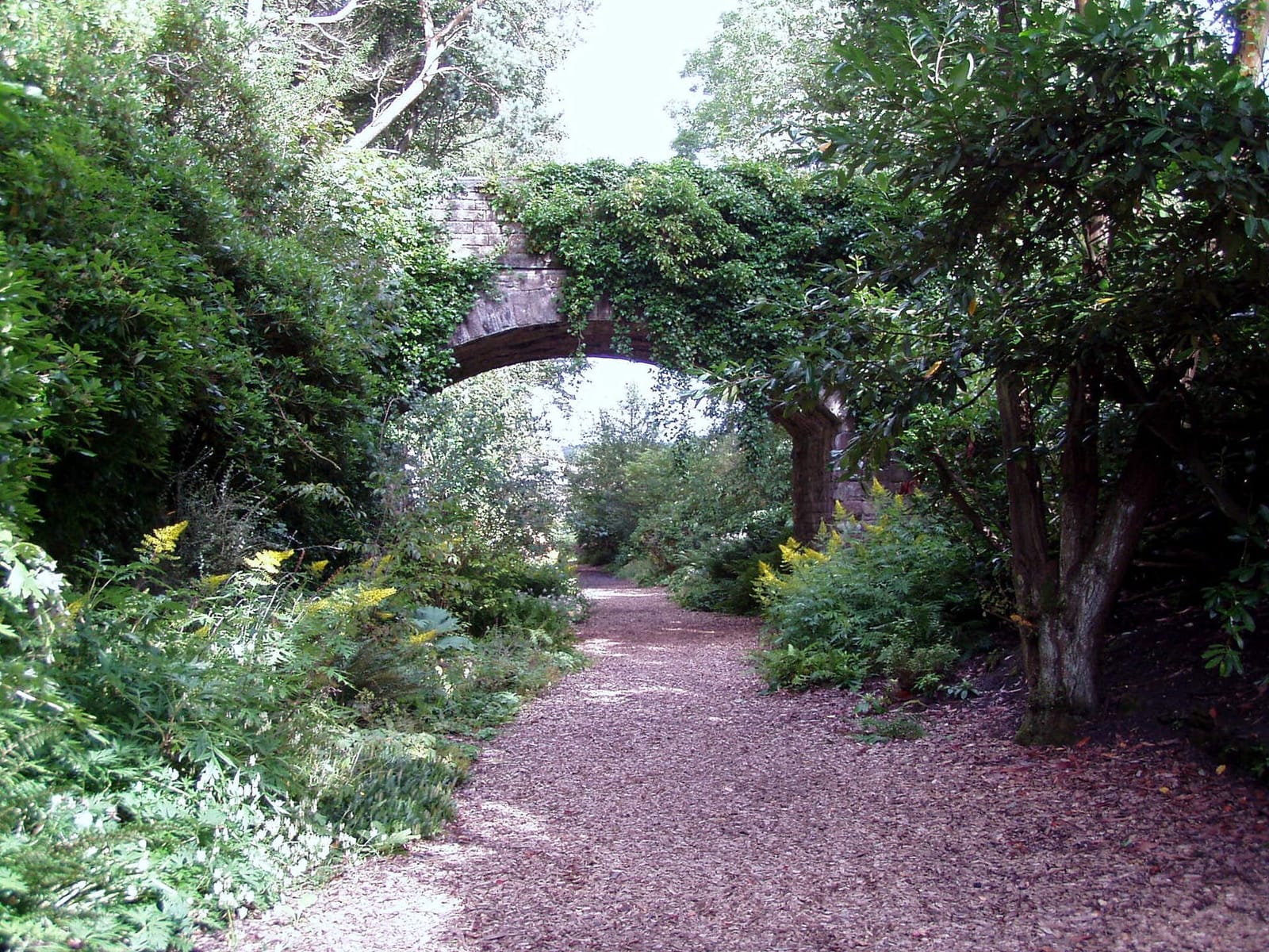 The Garden Station photo 2