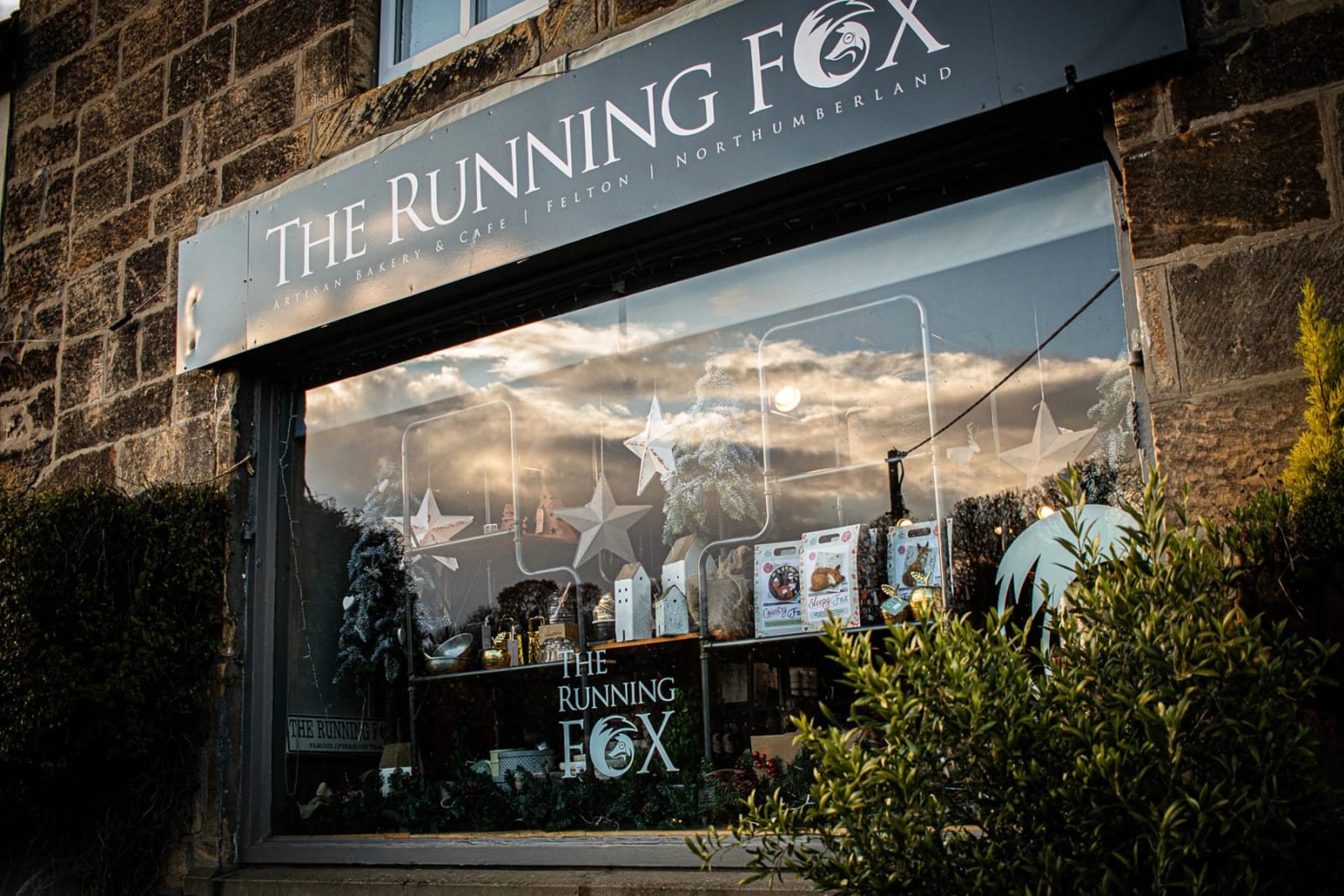 The Running Fox photo 2