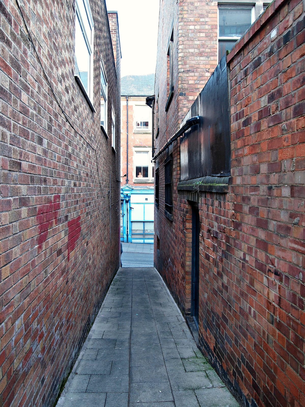yolk. photo 3