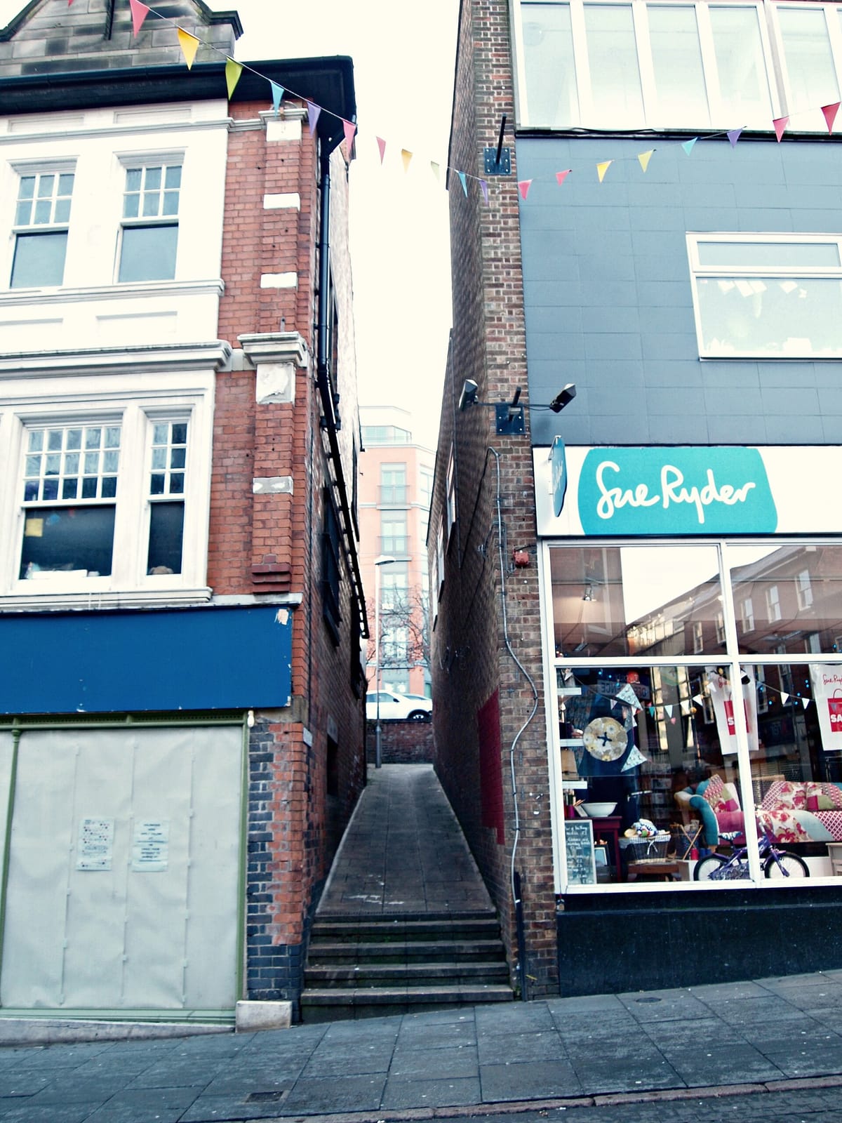 yolk. photo 4