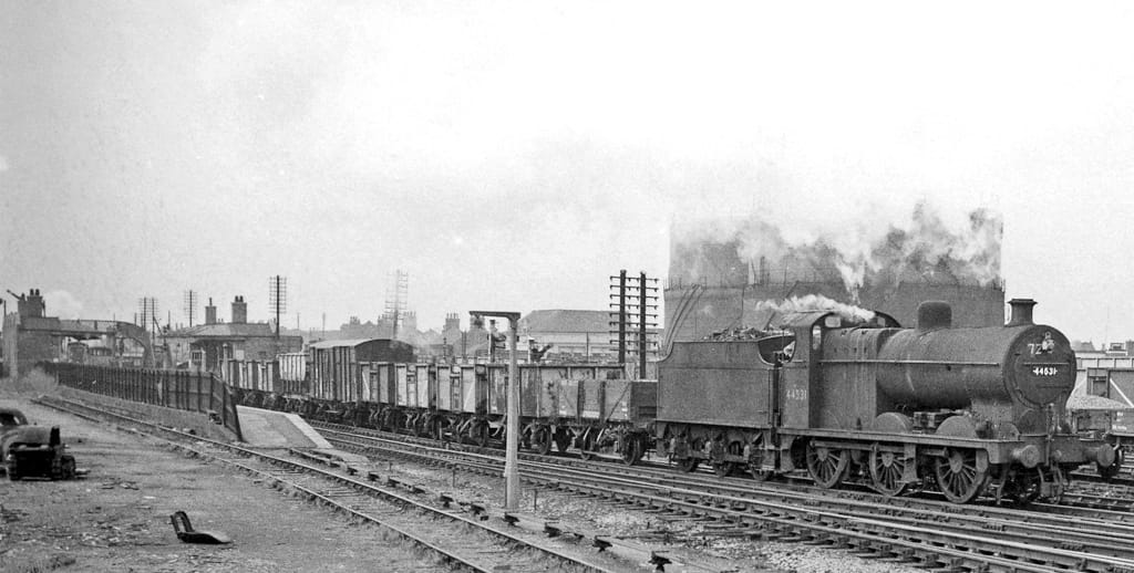 Scoffers photo 3