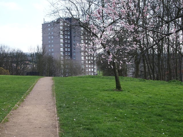 Bean Culture at Woodthorpe Grange Park photo 4