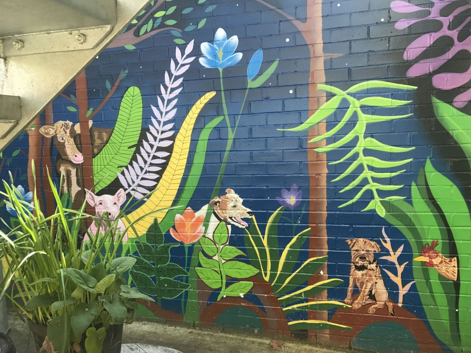 Crocus Cafe photo 3