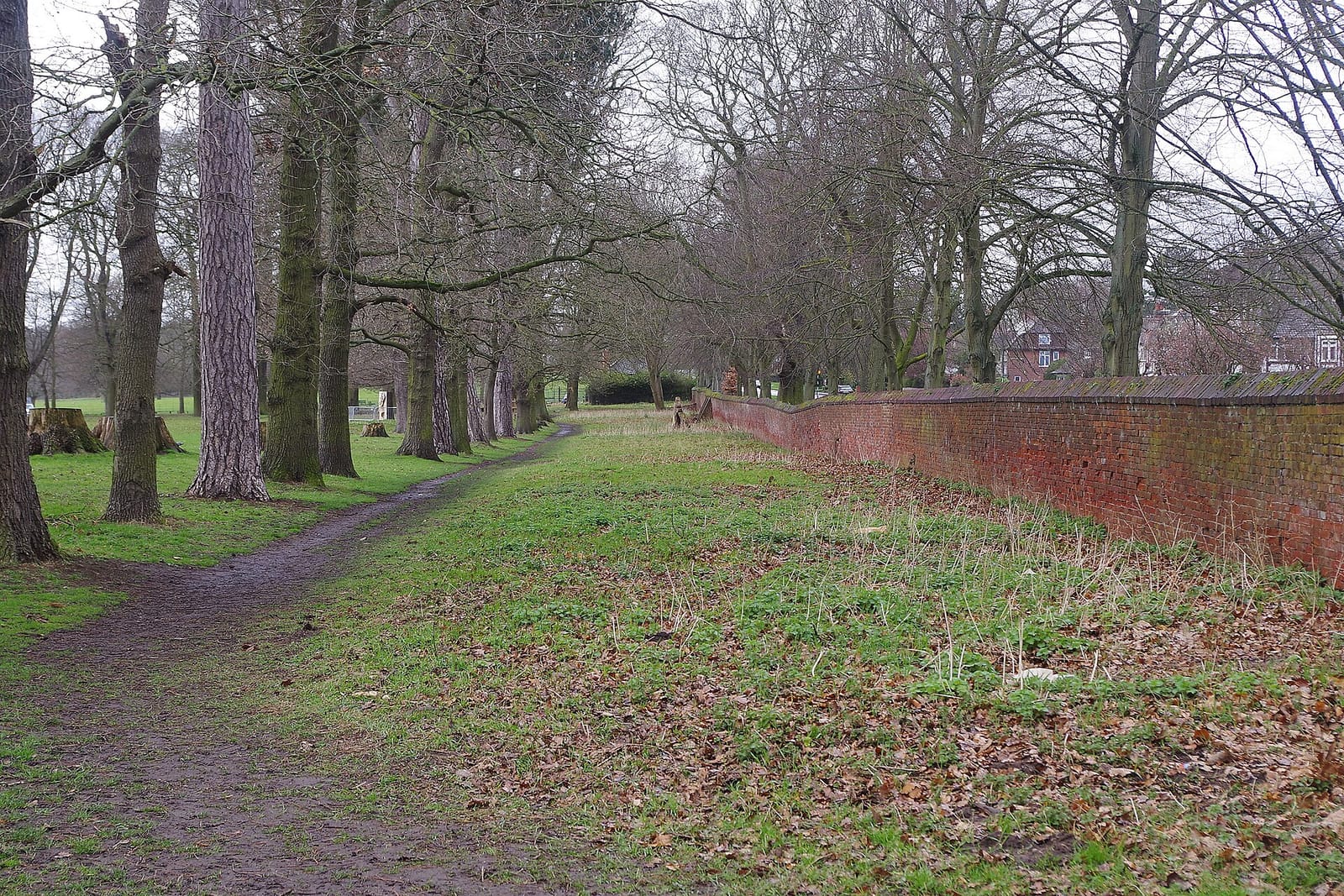 The Wollaton 508 Café photo 11