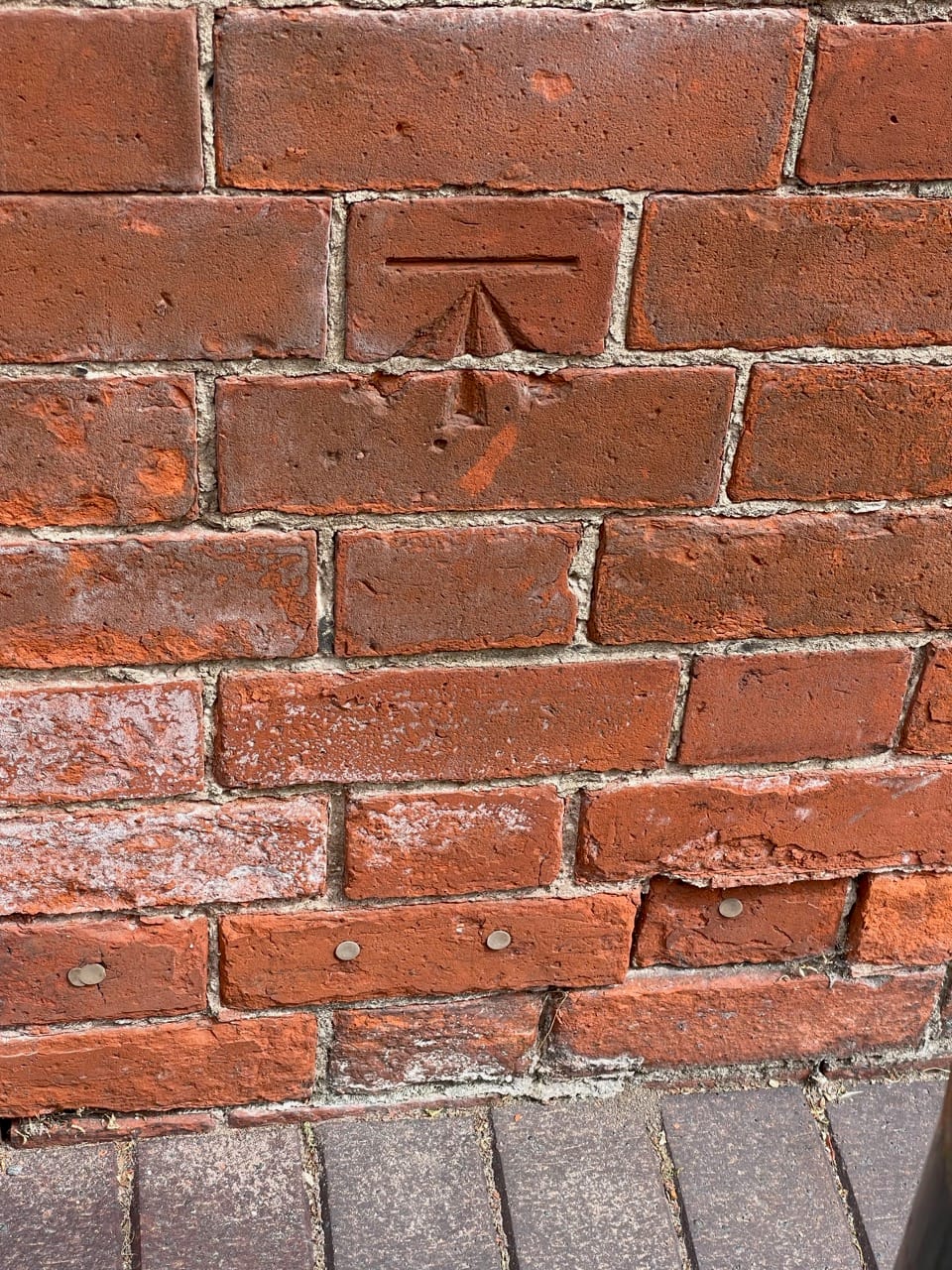 The Kiwi Cafe photo 3