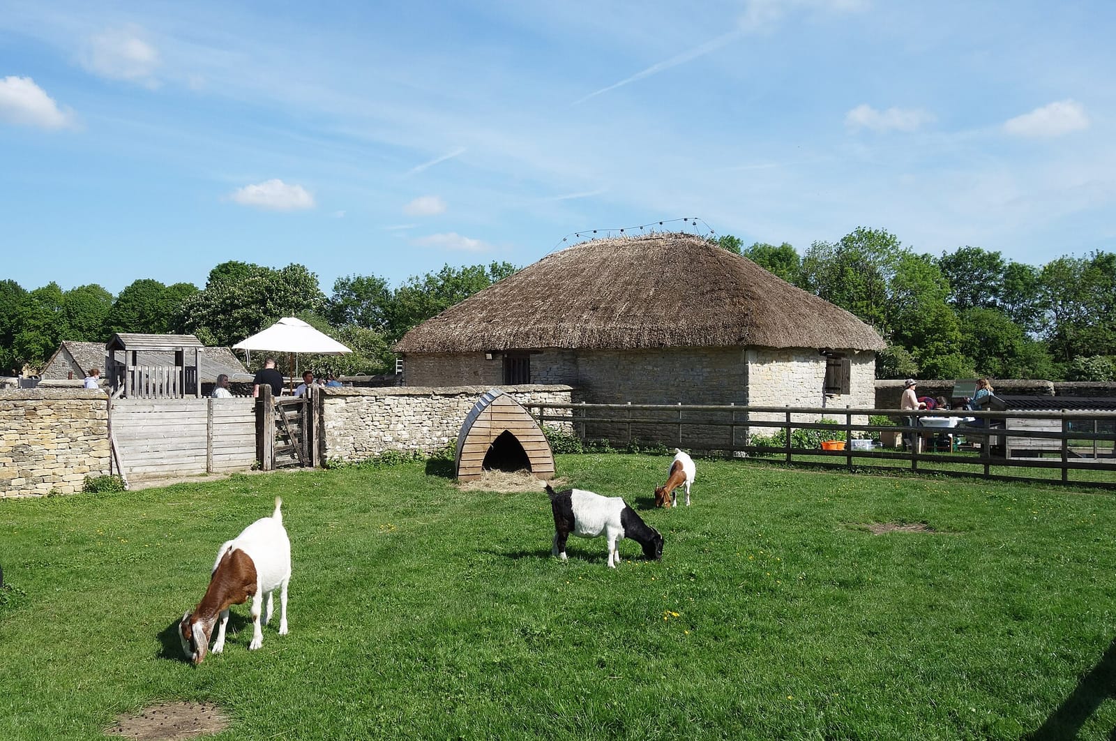 The Cogges Kitchen photo 2