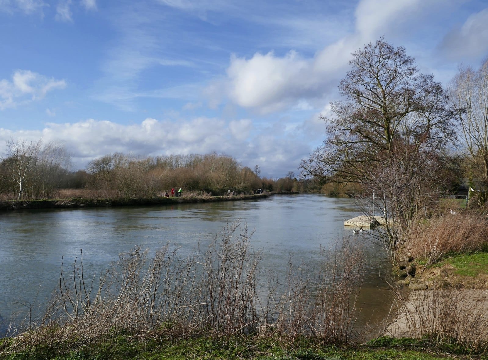 Rowing Club Bar & Cafe photo 2