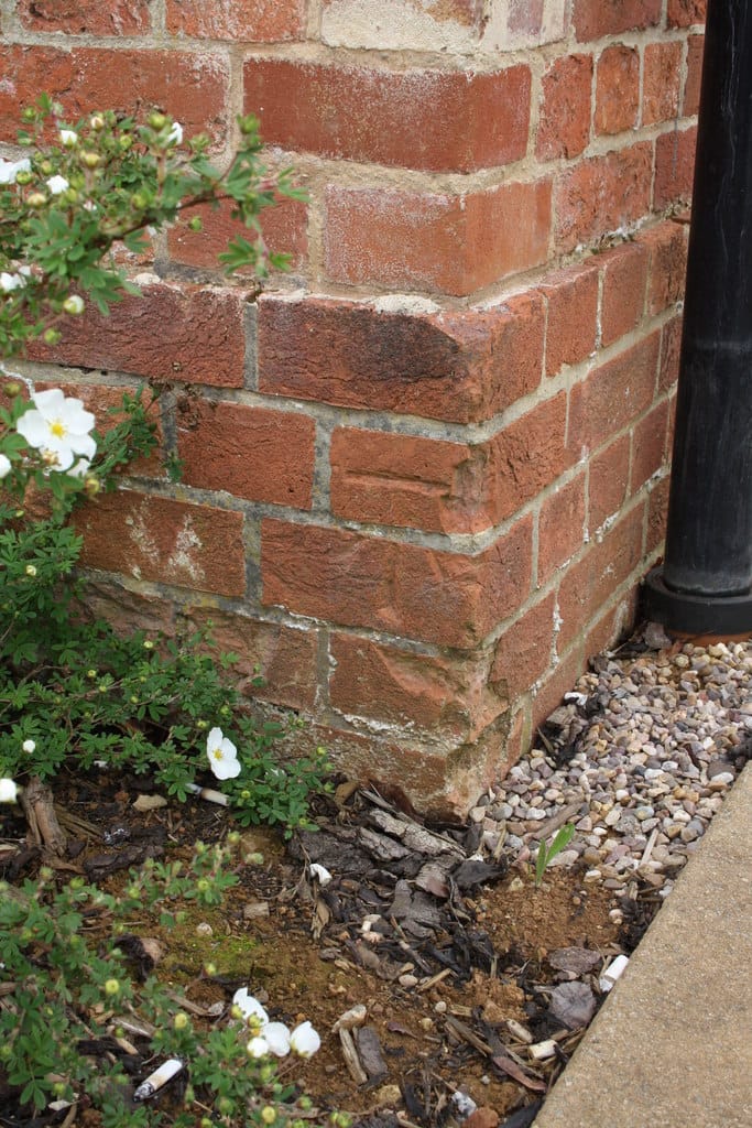 Banbury Tea Room Limited photo 5