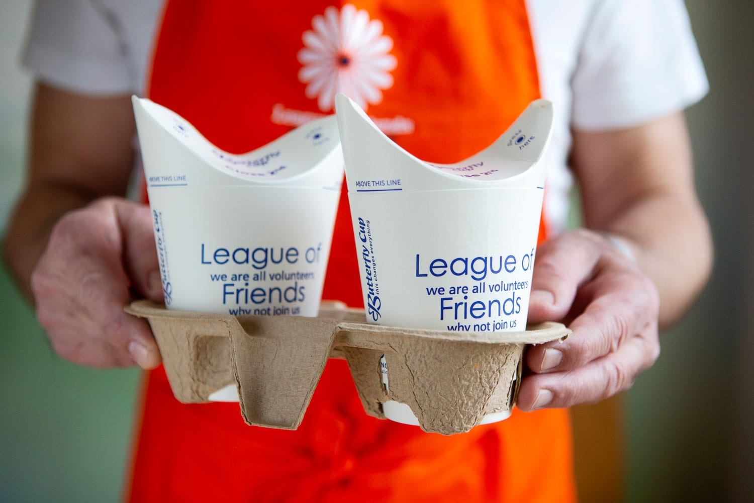 League of Friends photo 4