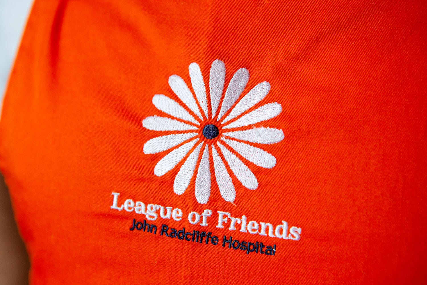 League of Friends photo 4