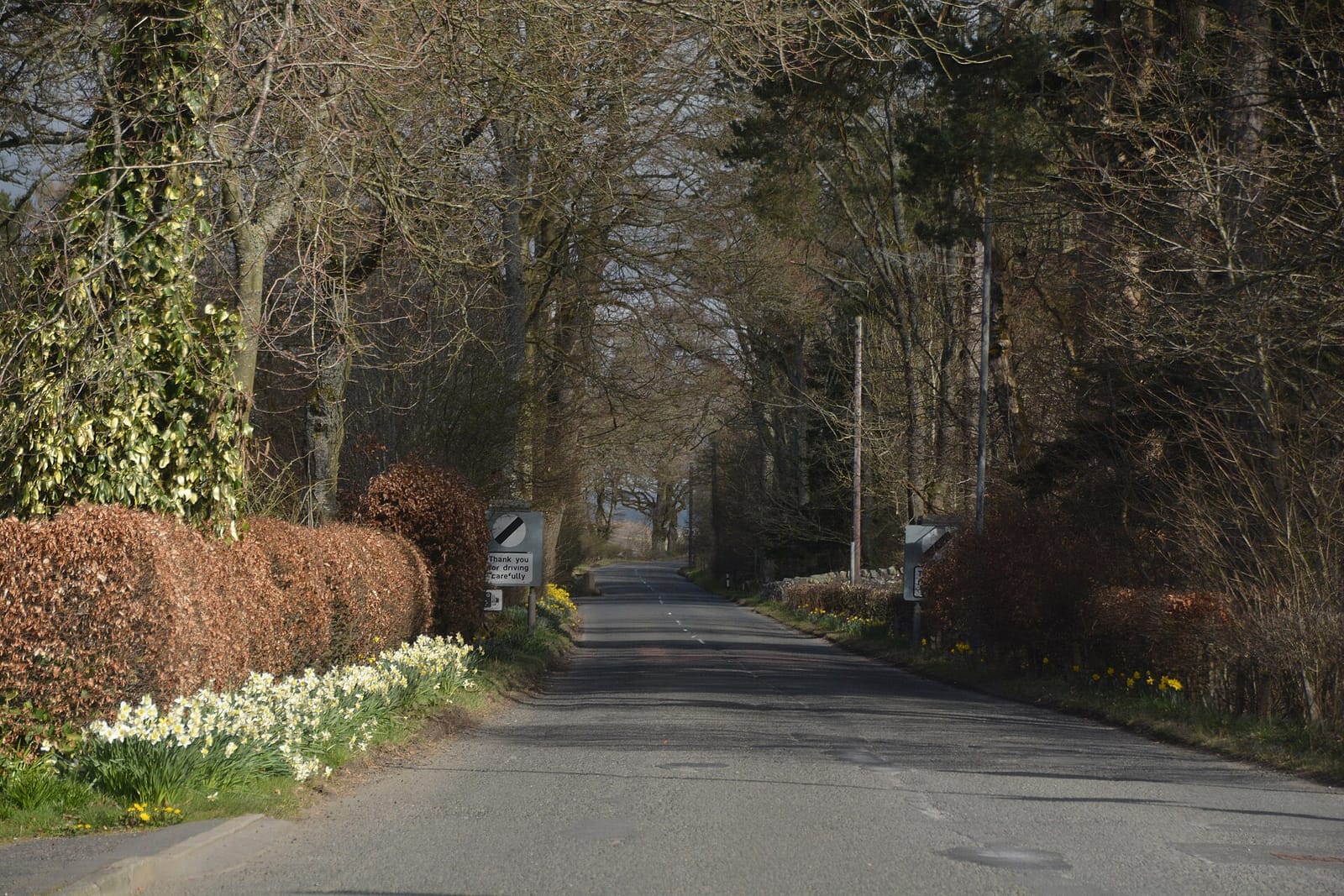 Laurel Bank
