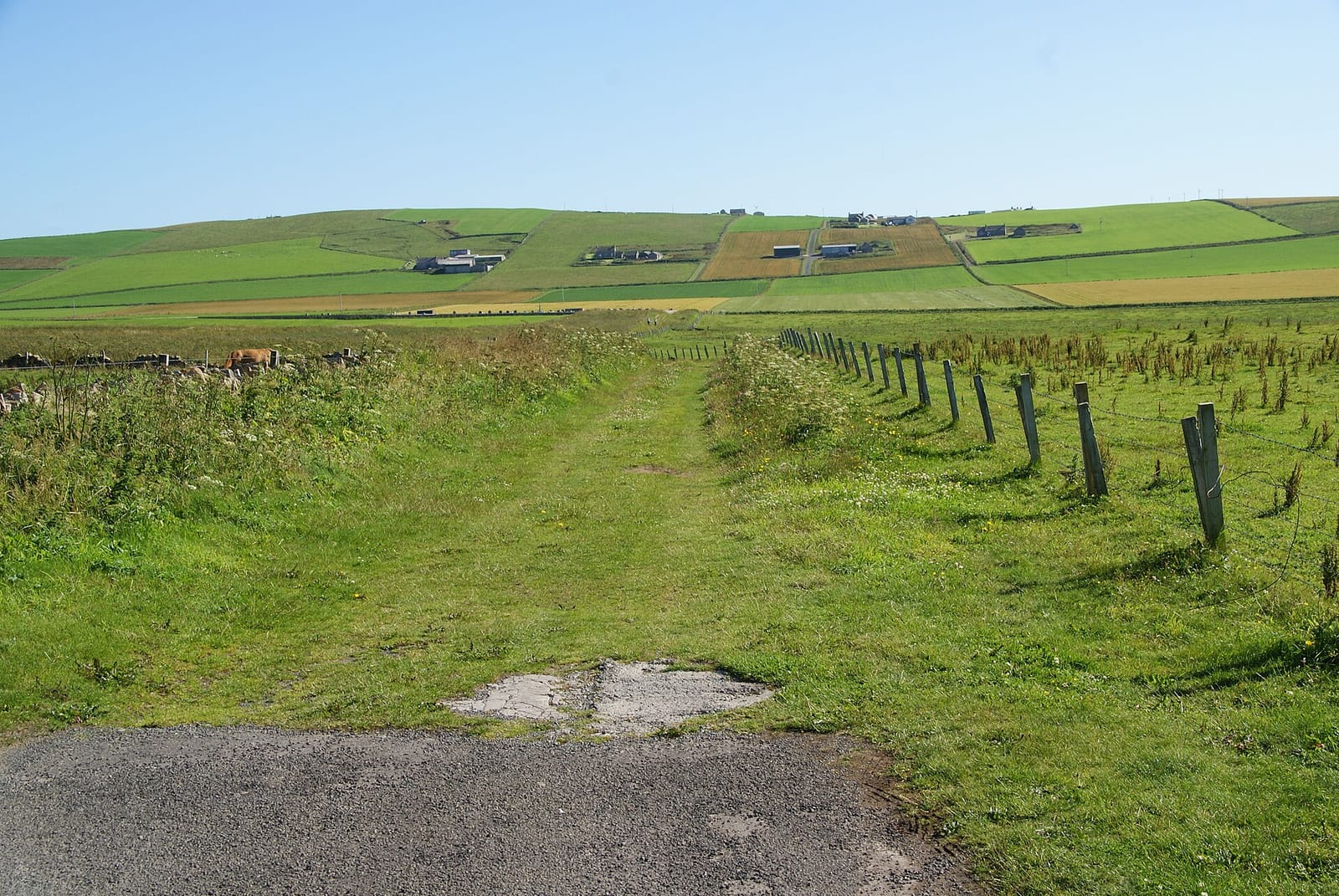 Birsay Bay Tearoom photo 2