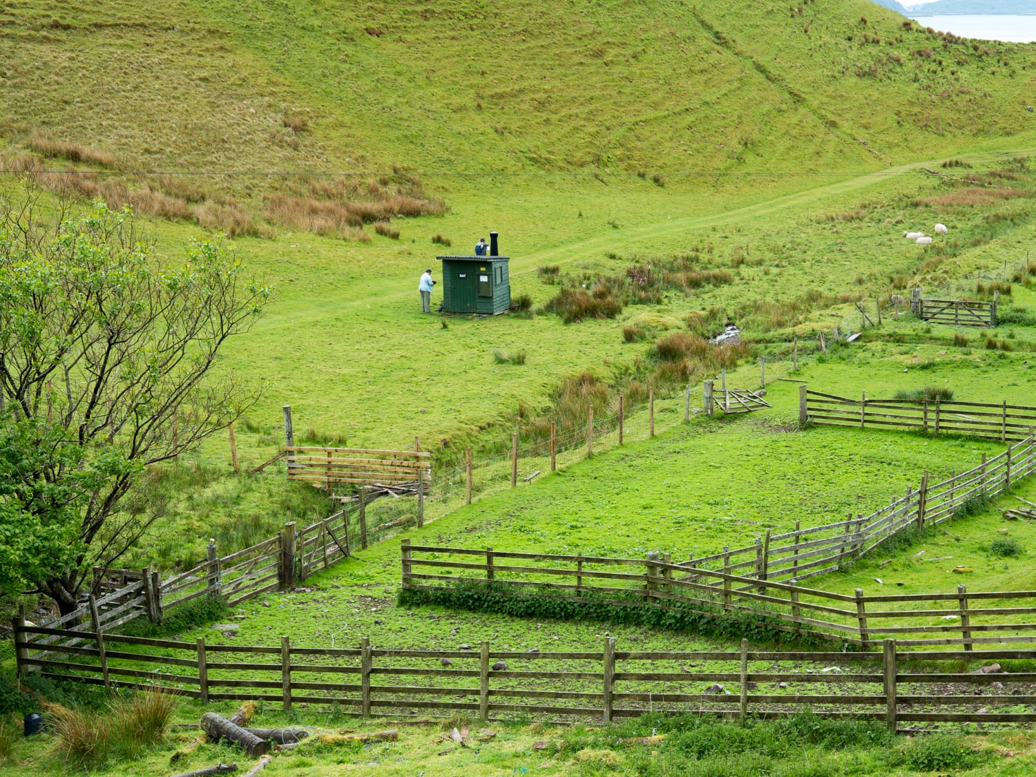 Kerrera Tea Garden photo 2