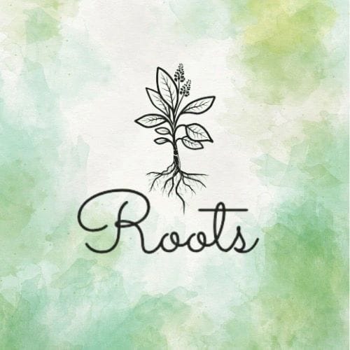 Roots Cafe photo 2