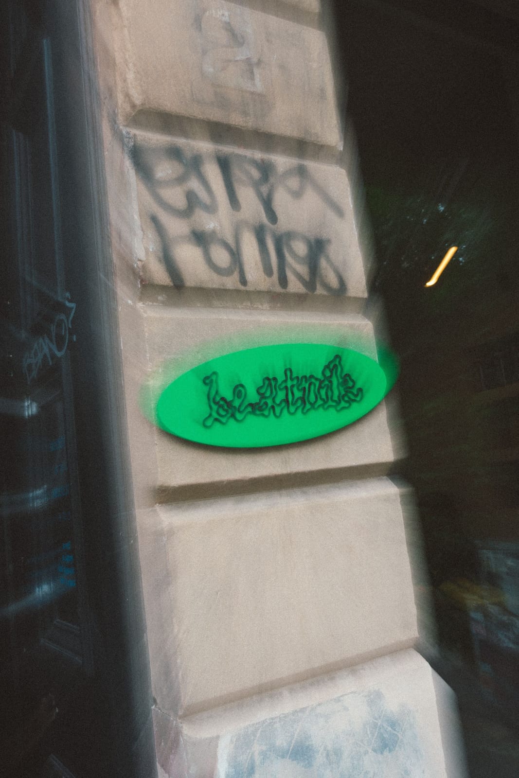 Beatnik photo 4