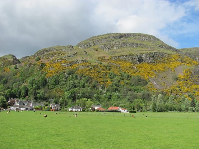 Coffee Bothy & Blairmains Farm Shop photo 2