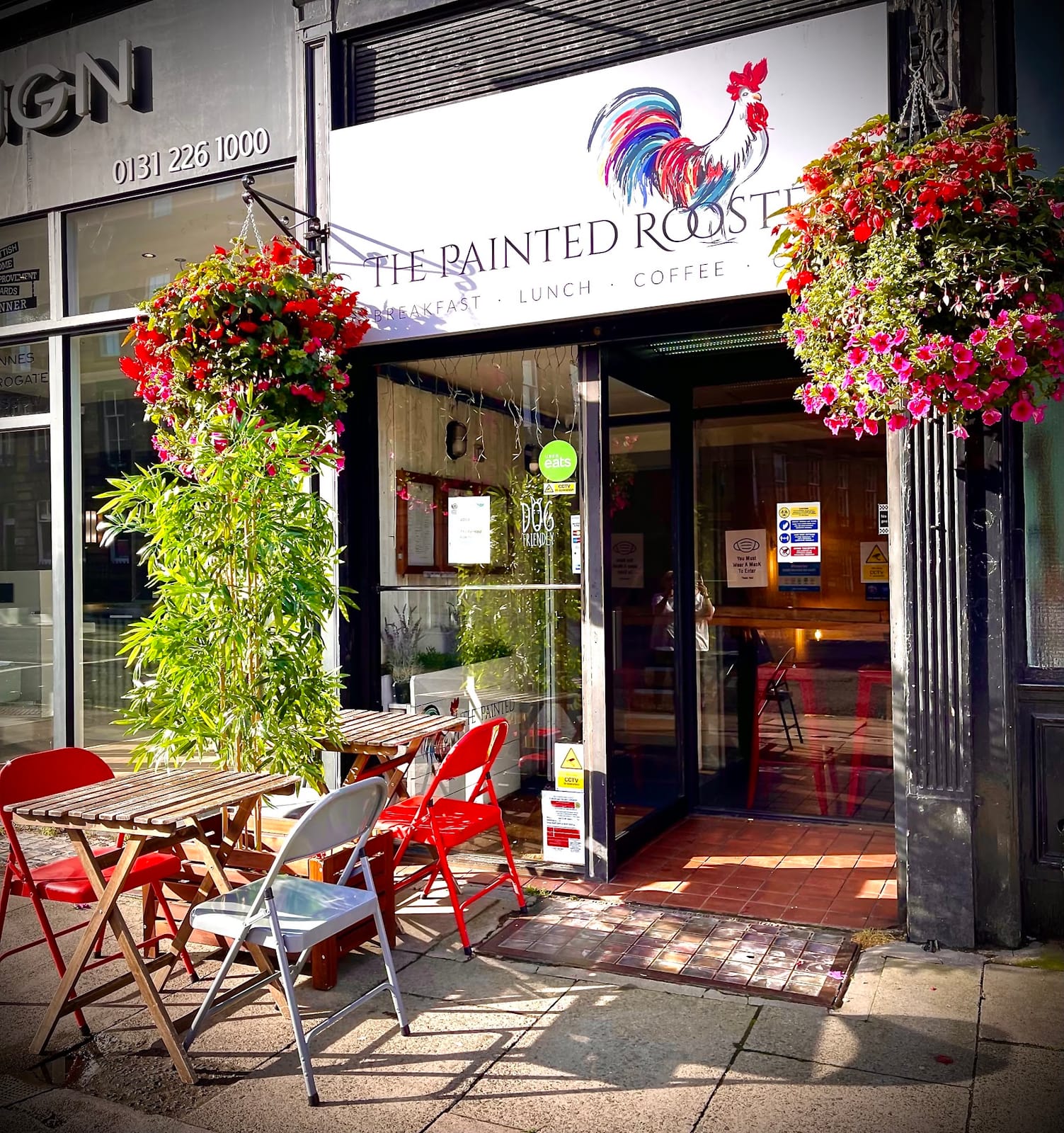 The Painted Rooster